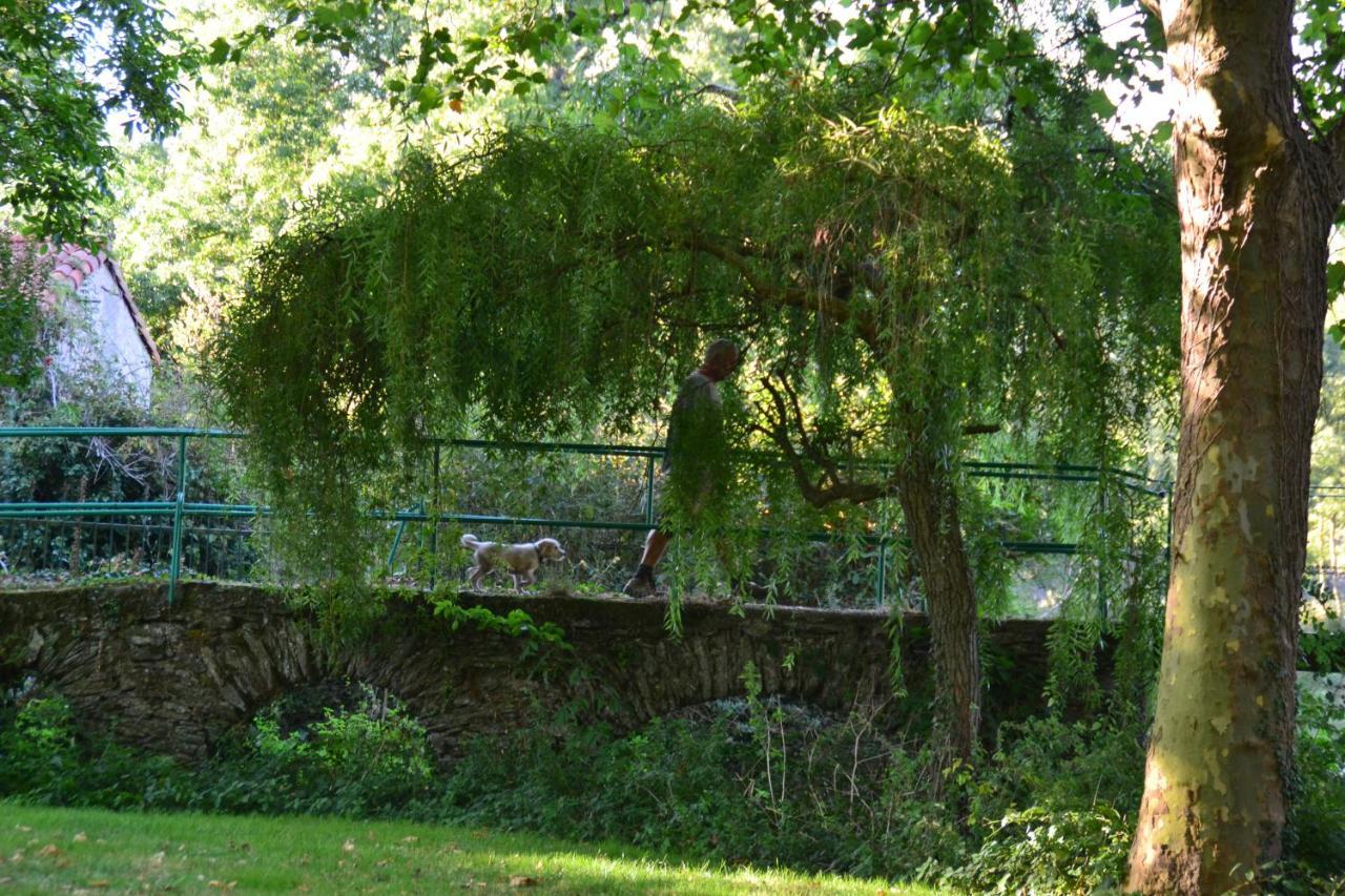 Le Moulin Neuf Villa Beaupreau-en-Mauges Bagian luar foto