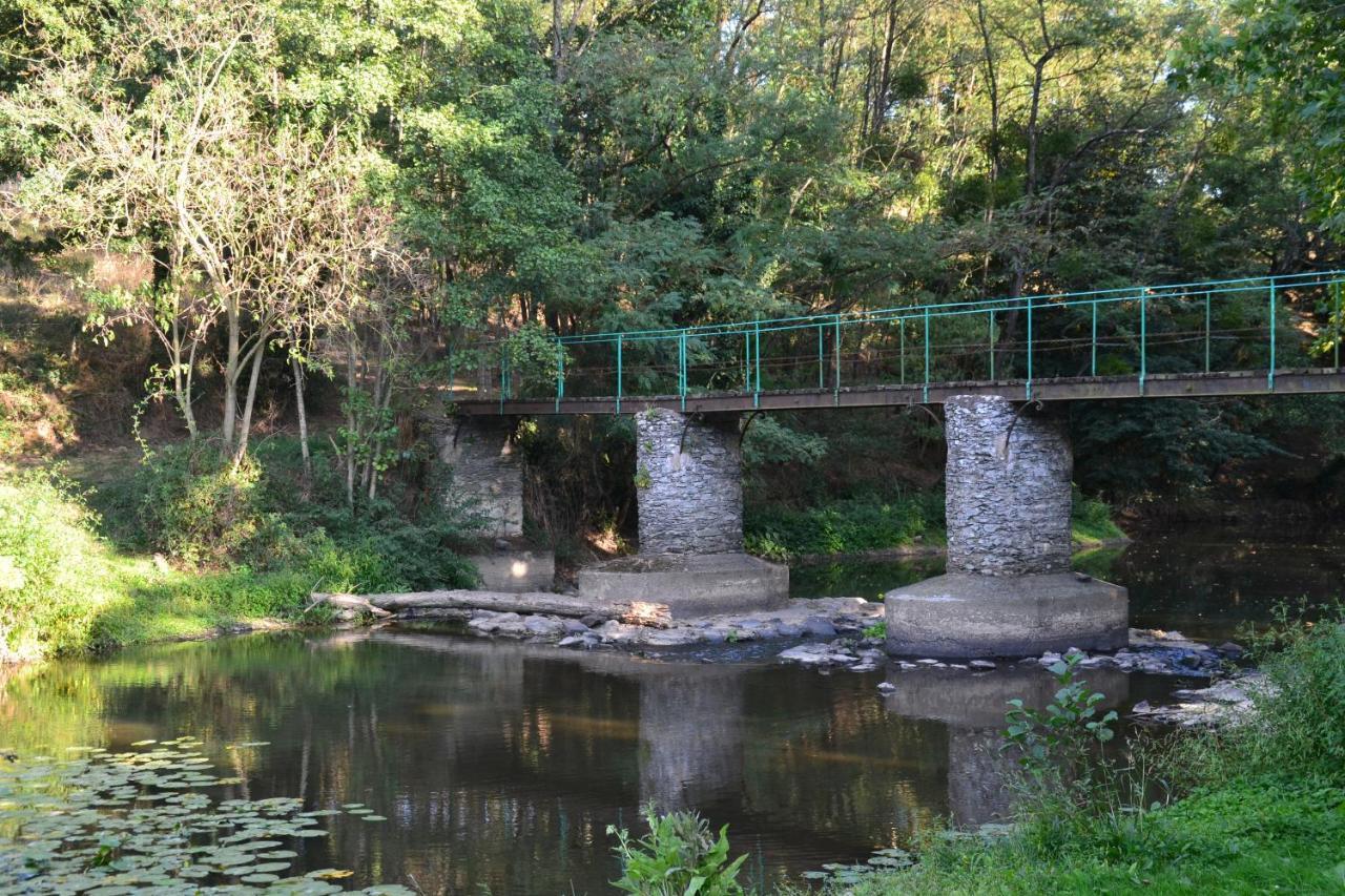Le Moulin Neuf Villa Beaupreau-en-Mauges Bagian luar foto