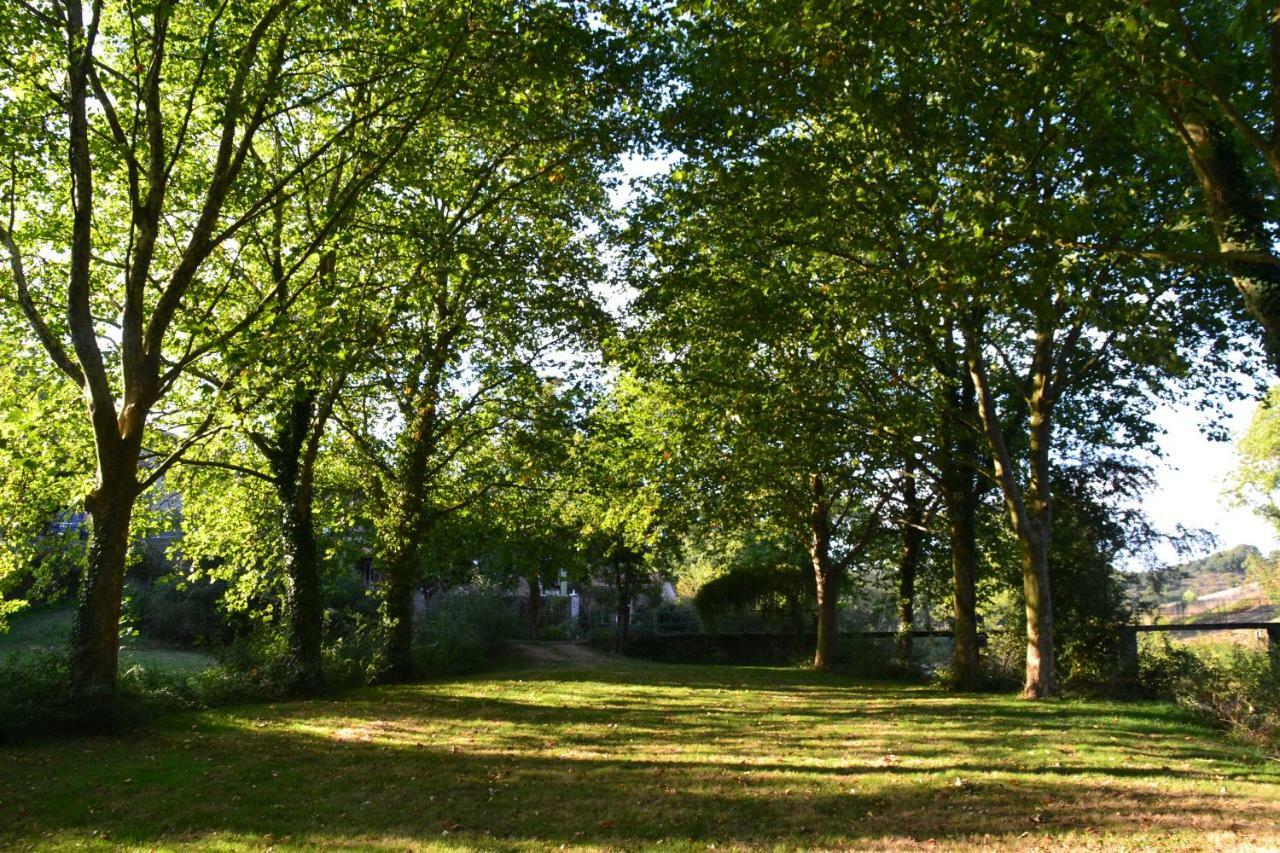 Le Moulin Neuf Villa Beaupreau-en-Mauges Bagian luar foto